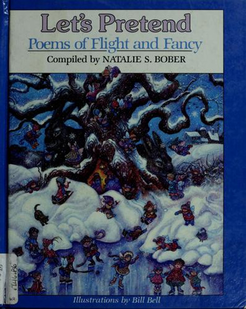 Let's Pretend: Poems of Flight and Fancy front cover by Natalie S. Bober, Bill Bell, ISBN: 0670811769