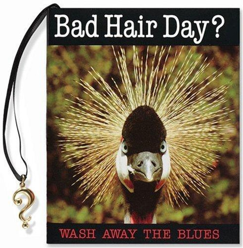 Bad Hair Day? Wash Away the Blues (Mini Book) (Charming Petite Series) front cover by Zvi Schreiber, ISBN: 1593598785