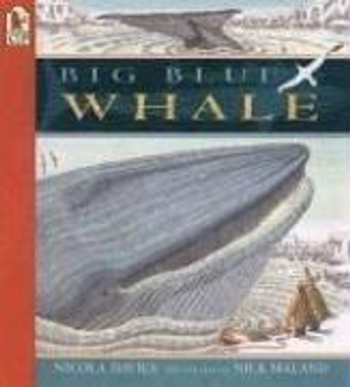 Big Blue Whale: Read and Wonder front cover by Nicola Davies, ISBN: 0763610801
