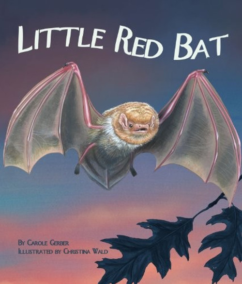 Little Red Bat (Arbordale Collection) front cover by Carole Gerber, ISBN: 1607188686