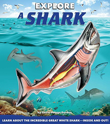 Explore a Shark front cover by Christian Kitzmüller,David George Gordon, ISBN: 1626863946