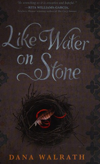 Like Water on Stone front cover by Dana Walrath, ISBN: 0375991425