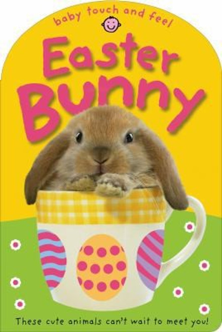 Easter Bunny (Baby Touch and Feel) front cover by Roger Priddy, ISBN: 0312505809
