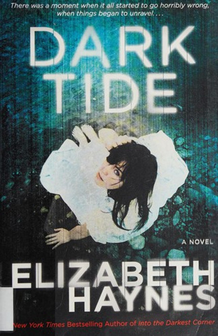 Dark Tide: A Novel front cover by Elizabeth Haynes, ISBN: 0062197339