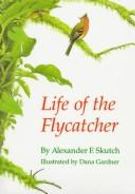 Life of the Flycatcher (Animal Natural History Series) front cover by Alexander F. Skutch, ISBN: 0806129190