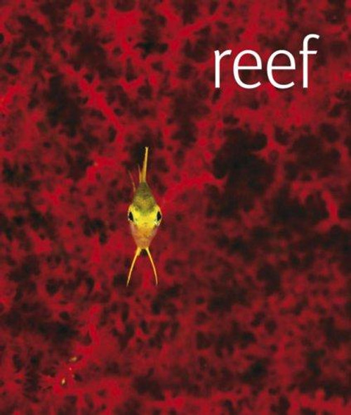 Reef front cover by Scubazoo, ISBN: 075663122X