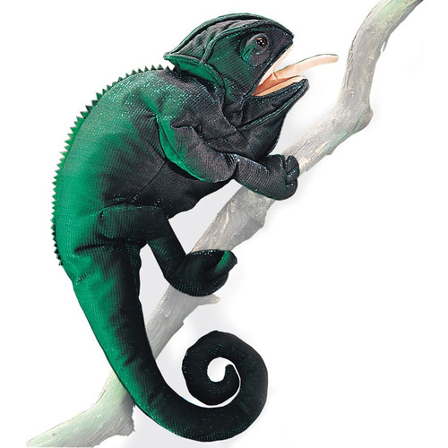 Chameleon Puppet front cover