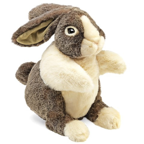 Dutch Rabbit Hand Puppet front cover
