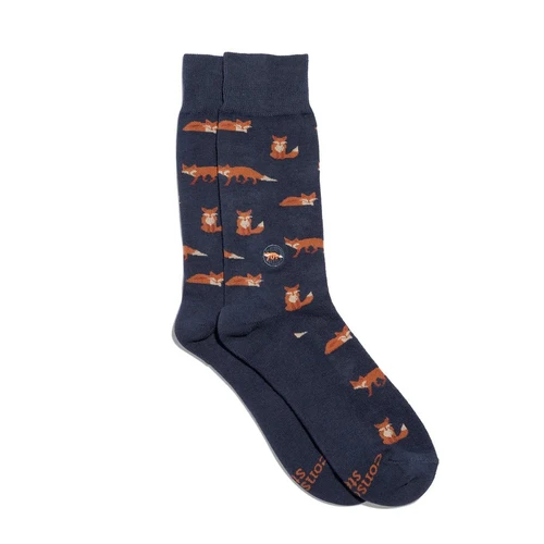 Socks That Protect Foxes front cover