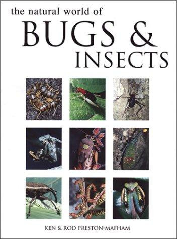 Natural World of Bugs & Insects front cover by Ken Preston-Mafham, ISBN: 1571452885