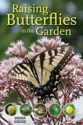 Raising Butterflies in the Garden front cover by Brenda Dziedzic, ISBN: 0228102251