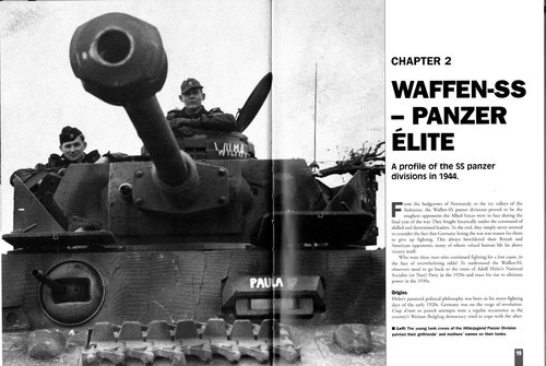 SS- Steel Rain: Waffen-SS Panzer Battles in the West 1944-1945 front cover by Tim Ripley, ISBN: 1840440929