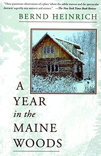 A Year In the Maine Woods front cover by Bernd Heinrich, ISBN: 0201489392