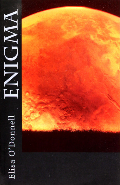 Enigma front cover by Elisa O'Donnell, ISBN: 1494355779