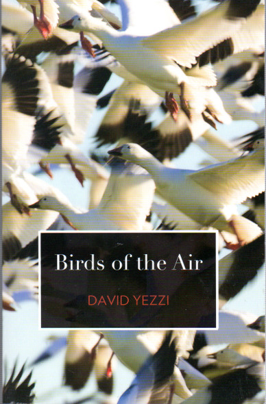 Birds of the Air front cover by David Yezzi, ISBN: 0887485715