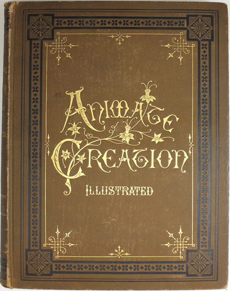 Animate Creation: Volume III Fishes, Reptiles, & C: Popular Edition of "Our Living World," A Natural History (Revised And Adapted to American Zoology front cover by J.G. Wood, Joseph B. Holder