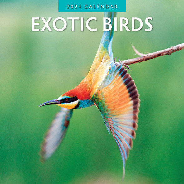 Exotic Birds 2024 Wall Calendar front cover, ISBN: 1804421278