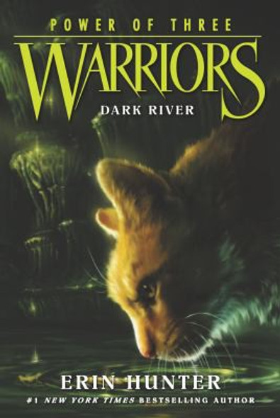 Dark River 2 Warriors: Power of Three front cover by Erin Hunter, ISBN: 0062367099