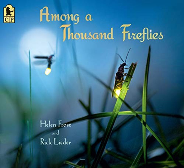 Among a Thousand Fireflies front cover by Helen Frost, ISBN: 1536205621