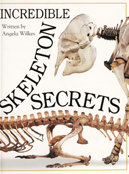 Incredible Words & Pictures: Skeleton Secret front cover by DK Children, ISBN: 1564587274