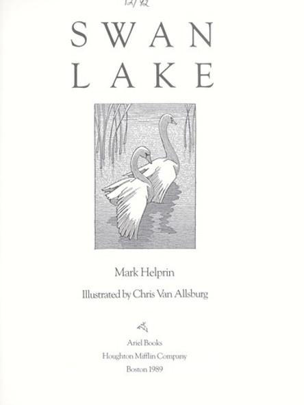 Swan Lake front cover by Mark Helprin, ISBN: 0395646472