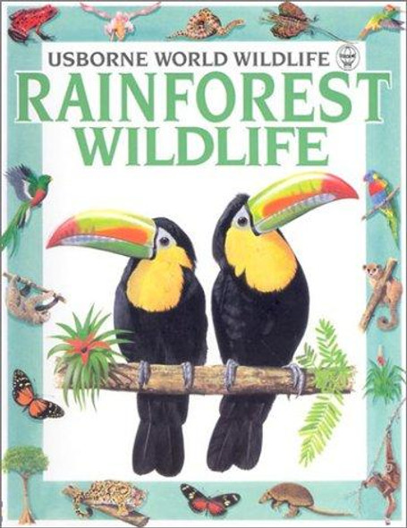 Rainforest Wildlife (Usborne World Wildlife) front cover by Antonia Cunningham, ISBN: 0746009402