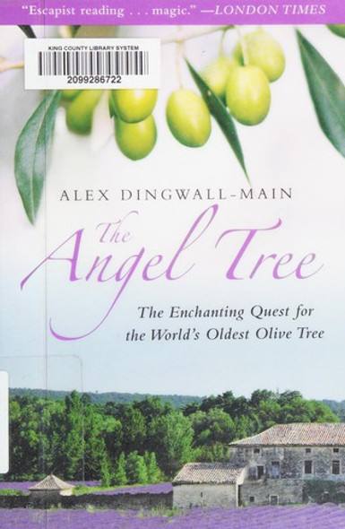 The Angel Tree: The Enchanting Quest for the World front cover by Alex Dingwall-Main, ISBN: 1611457564