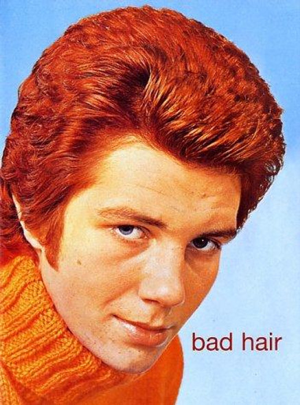 Bad Hair front cover by James Innes-Smith, Henrietta Webb, ISBN: 1582343292