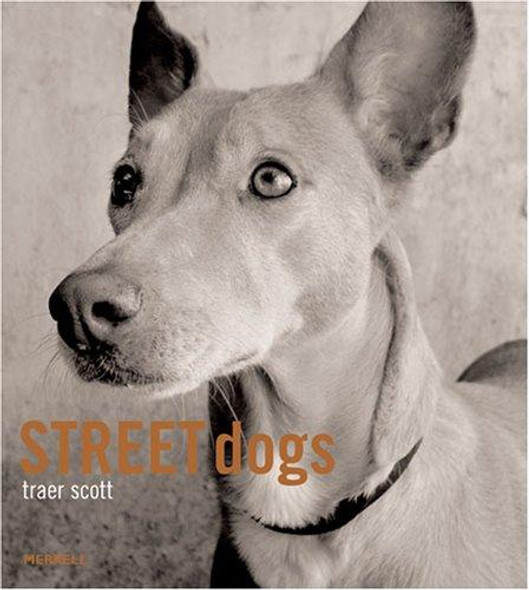 Street Dogs front cover by Traer Scott, ISBN: 1858944082