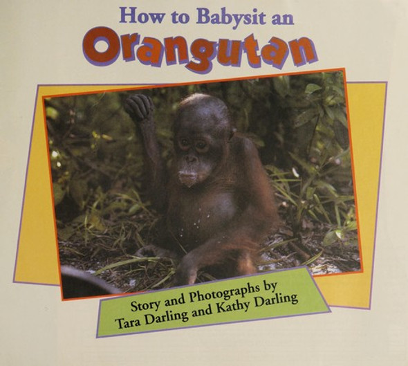 How to Babysit an Orangutan front cover by Tara Darling, Kathy Darling, ISBN: 015365113X