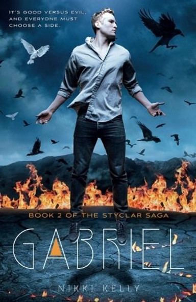 Gabriel (The Styclar Saga) front cover by Nikki Kelly, ISBN: 1250090660