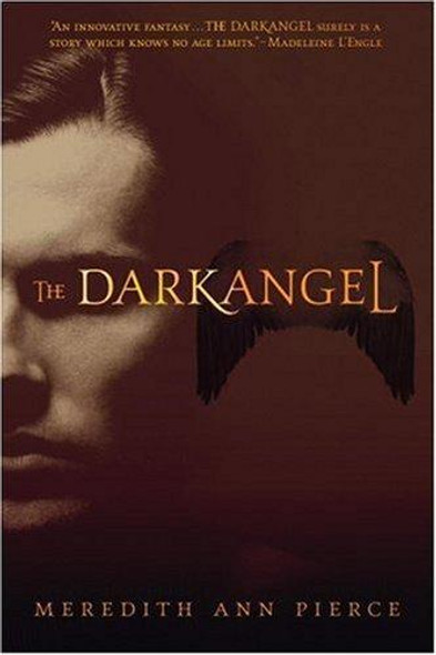 The Darkangel 1 Darkangel Trilogy front cover by Meredith Ann Pierce, ISBN: 0316067237