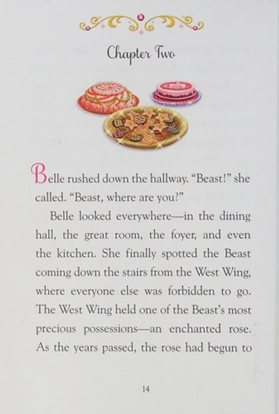 Princess Belle: The Charming Gift front cover by Disney, ISBN: 1423157451