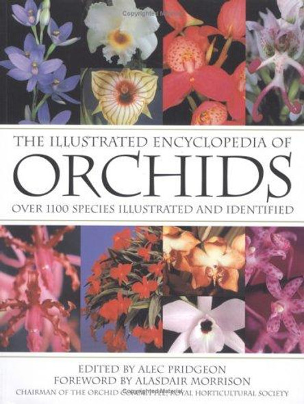 The Illustrated Encyclopedia of Orchids front cover by Alec Pridgeon, ISBN: 0881928011