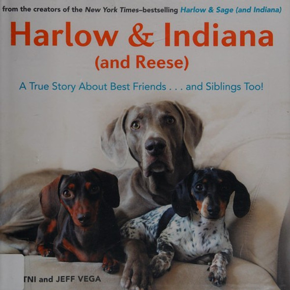 Harlow & Indiana (and Reese): A True Story About Best Friends...and Siblings Too! front cover by Brittni Vega, ISBN: 1101983671