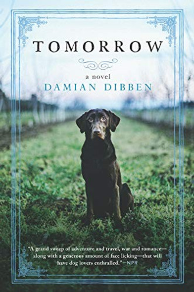 Tomorrow: A Novel front cover by Damian Dibben, ISBN: 1335251006