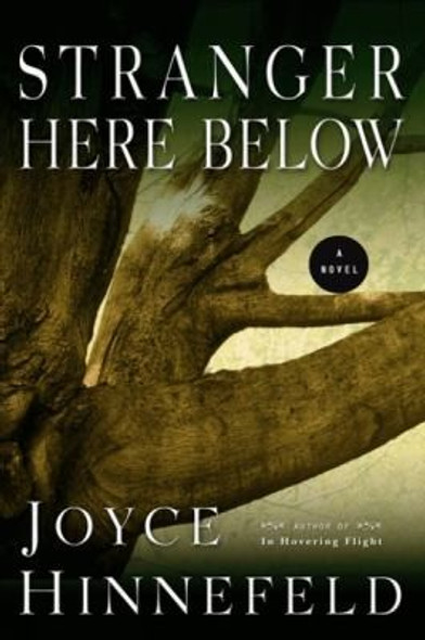 Stranger Here Below front cover by Joyce Hinnefeld, ISBN: 1609530047