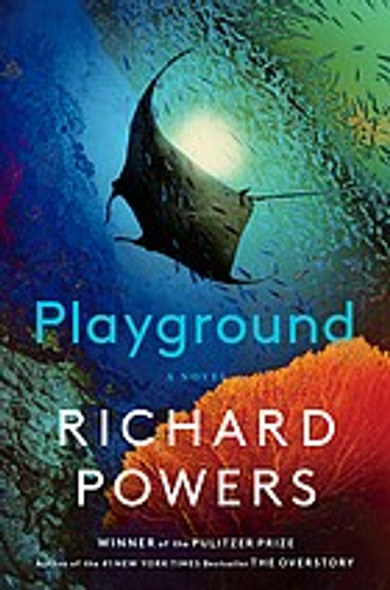 Playground front cover by Richard Powers, ISBN: 1324086033