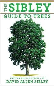Sibley Guide to Trees front cover by David Allen Sibley, ISBN: 037541519X