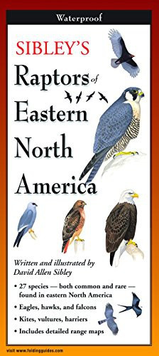 Sibley’s Raptors of Eastern North America (Earth Sky + Water FoldingGuide) front cover by David Allen Sibley, ISBN: 1935380176