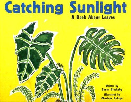 Catching Sunlight: A Book about Leaves front cover by Susan Blackaby, ISBN: 1404803874
