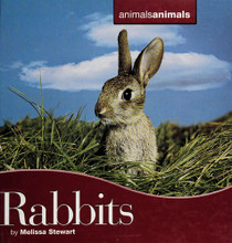 Rabbits (Animals Animals): Melissa Stewart: 0761425284