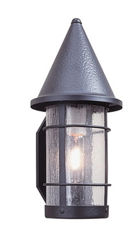 Valencia One Light Wall Mount in Pewter (37|VS-7TN-P)