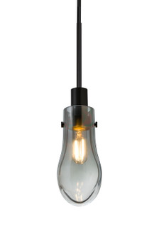 Wish One Light Pendant in Black (74|1JT-WISHSM-BK)