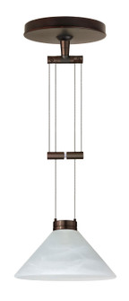 Kona One Light Pendant in Bronze (74|1XA-117652-BR)