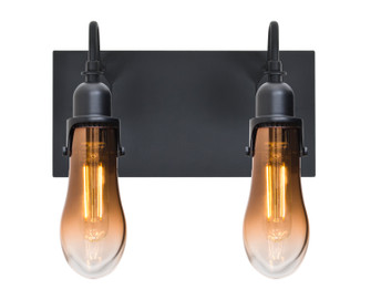 Wish Wall Sconce in Black (74|2WG-WISHAM-EDIL-BK)