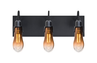 Wish Wall Sconce in Black (74|3WG-WISHAM-EDIL-BK)