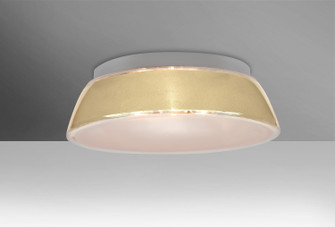 Pica Two Light Ceiling Mount (74|9663CRC-LED)