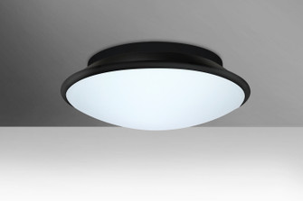 Silk 16 Three Light Ceiling Mount (74|SILK16BKC)