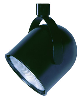 One Light Track Fixture in Black (225|HT-198-BK)